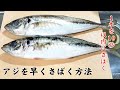 【このやり方が早い】寿司屋が教えるたくさん捌く時に便利で簡単なやり方　How to handle fish