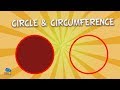 Circle and circumference | Educational Video for Kids.