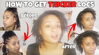 How To Get THICKER LOCS on Thin Hair