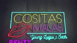 Video thumbnail of "Cositas Malas YoungLuigui ft Sech Remix"
