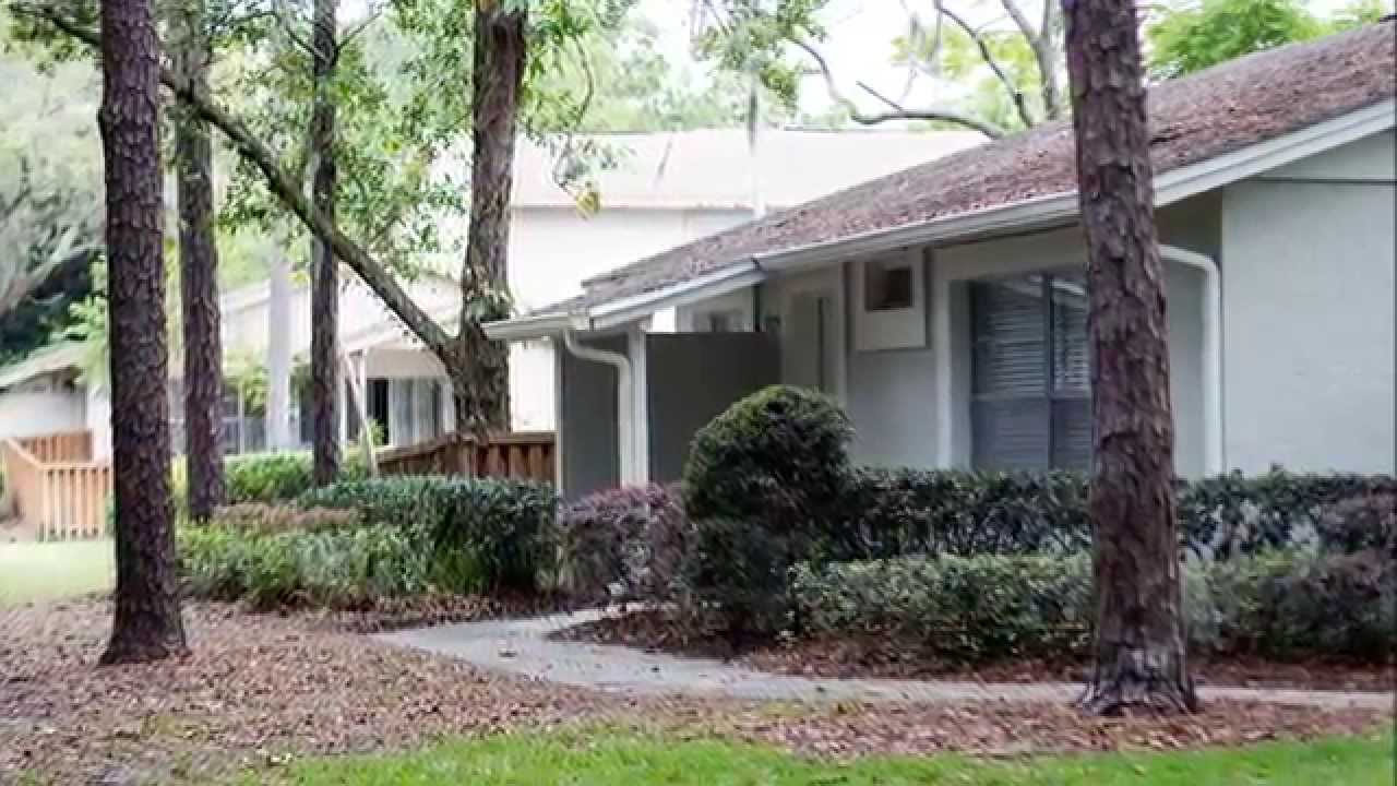Lake Forest Community in Lutz, FL YouTube