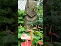 Gardens by the bay in singapore  flower dome pt 1 relax