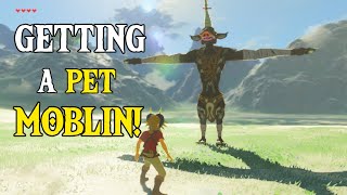 Link Gets a Pet MOBLIN! | Zelda: Breath of the Wild