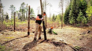 Building an Off Grid Garden at the Cabin, Installing Green Timber Fencing Posts