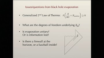 Sean Carroll - Extracting the Universe from the Wave Function