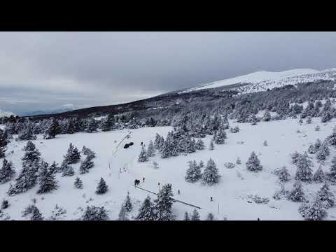 Neige en Provence : le Pays de Sault et le mont Ventoux