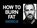 How to lose fat with sciencebased tools