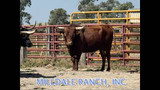 Milldale Ranch, Inc