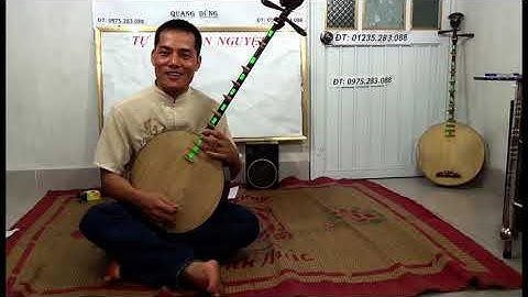 DẠY ĐÀN NGUYỆT CHO NGƯỜI DỐT CỰC DỐT CƠ BẢN 8.10