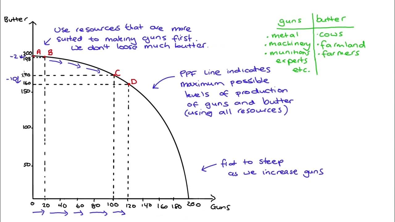 Why some ppf s are curved youtube