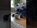 Did Something Just Move?