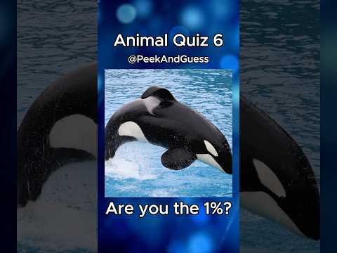 Animal Quiz 6: Can You Guess All 8 Animals from Covered Images? #quiz #trivia #quiztime #animals