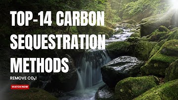 Top 14 Carbon Sequestration Methods to Fight Climate Change