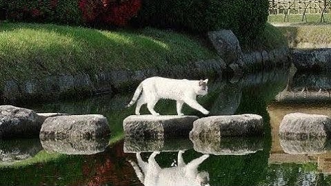 "وَأَنْ لَيْسَ لِلْإِنسَانِ إِلَّا مَا سَعَى" (سورة النجم، الآية 39) 🍀