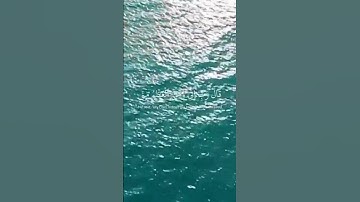 قرأن سورة مريم بصوت شريف مصطفى