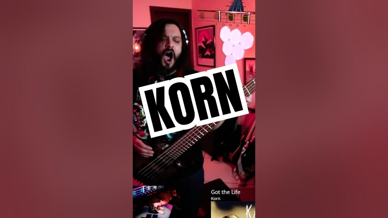 got the life #korn #bass #vocals #live got the life #korn #bass #vocals #live