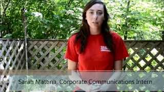 Are Your Recycling Efforts a Waste? Episode Two: Acceptable Items