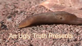 A Little Sing Song Karaoke For Granny