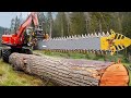 Extreme Dangerous Logging Big Tree Mega Skill, Heavy Equipment Sawmill Wood Monster Process Factory