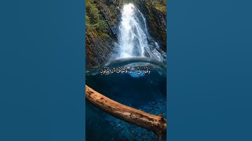 القارئ رعد الكردي (سورة الشعراء)