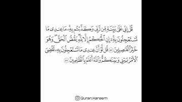 القارئ سعد الغامدي - سورة الأنعام - من الآية 57 إلى الآية 58