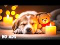 🐶💤 Instantly Calm Your Dog! Deep Sleep Music for Anxiety &amp; Peaceful Nights 🎵