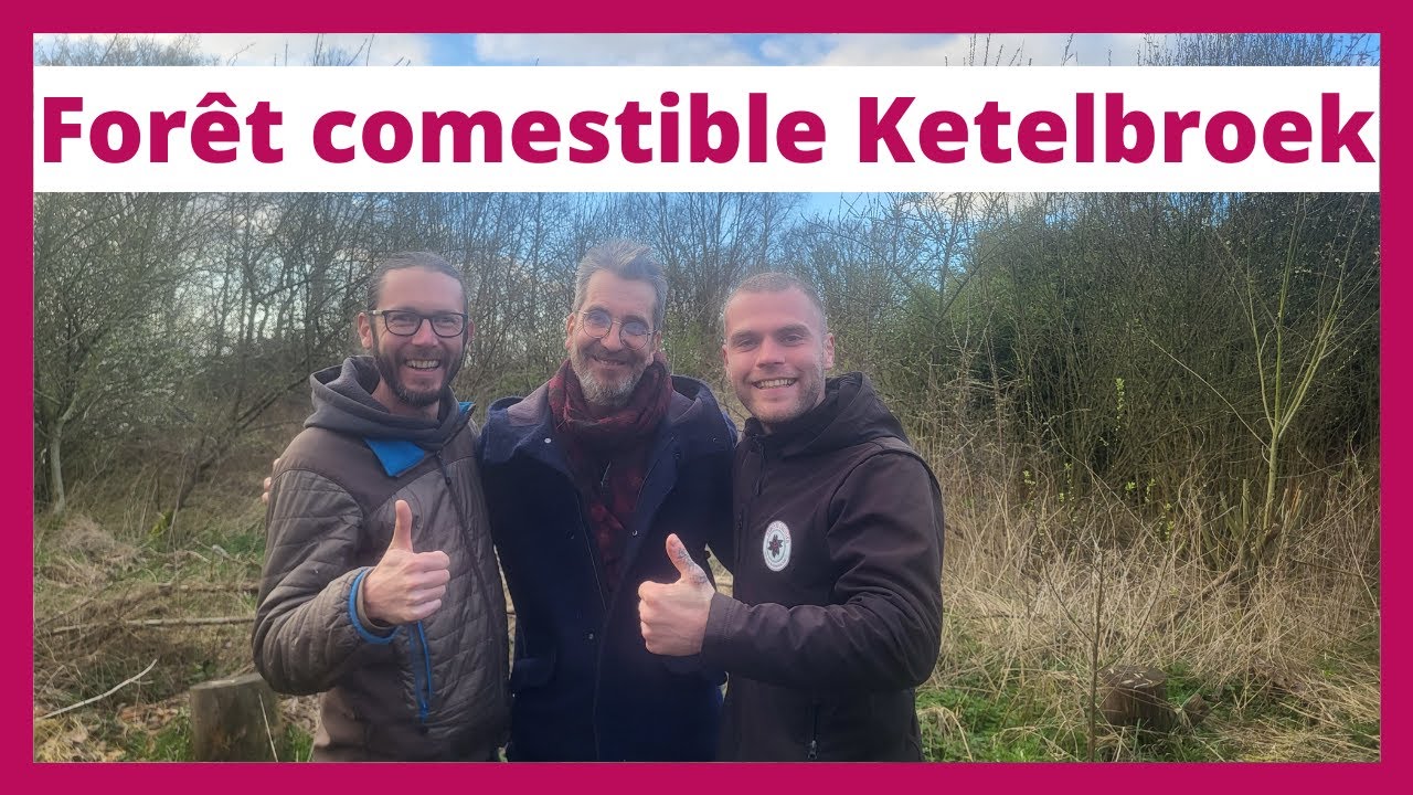 La forêt comestible de Ketelbroek aux Pays-Bas, un lieu à la biodiversité extrêmement élevée