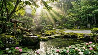 Peaceful Japanese Zen Garden 🌿 | Water Sounds & Morning Sunlight for Deep Relaxation screenshot 5
