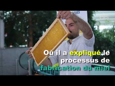[REPORTAGE] - LES