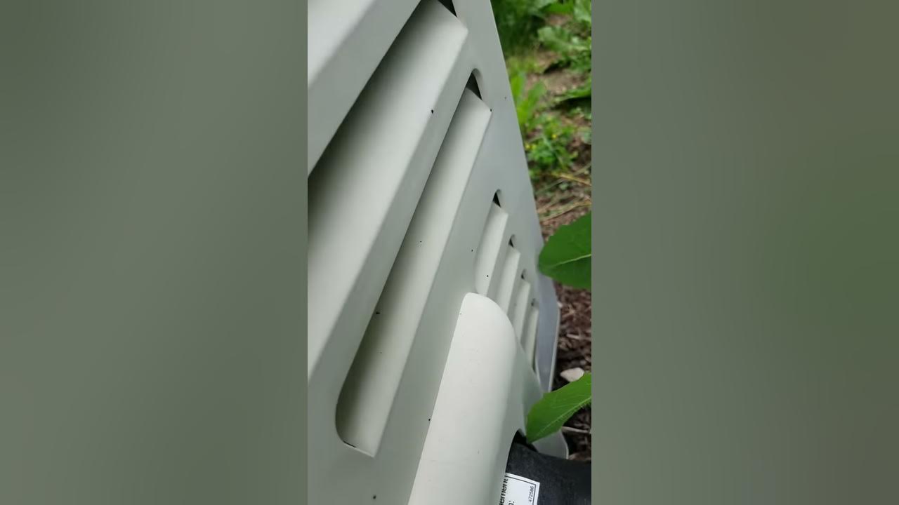 Pentair Mastertemp 200 Whine - YouTube