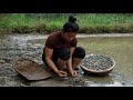 Harvesting wild stream snails deep in the forest – A rustic meal from nature.