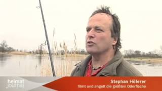 Oder bei Lebus / Heimatjournal rbb Fernsehen