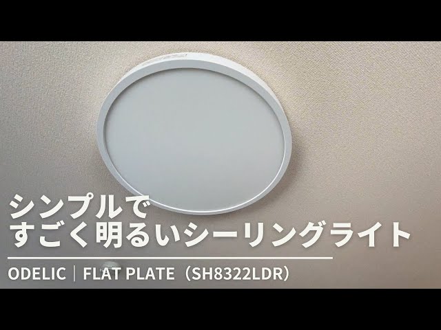 A simple and extremely bright ceiling light: ODELIC | FLAT PLATE