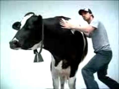 original cow shake commercial youtube