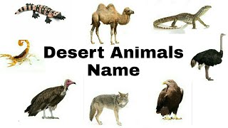 Desert Animals Name Learn Desert Animals Name With Pictures in English -  YouTube