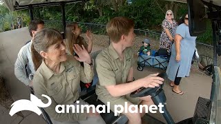 Reviviendo la magia: El zoo de los Irwin reabre sus puertas | Los Irwin | Animal Planet by Animal Planet Latinoamérica 5,078 views 13 days ago 6 minutes, 15 seconds