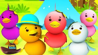 Five Little Ducks Went Swimming One Day + Nursery Rhymes For Kids