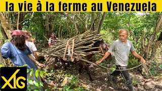 714 Partage au sein d'une famille d'agriculteurs de Tachira au Vénézuela #venezuela #agriculteurs