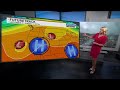 Stormy start to weekend dries out with cooler temperatures