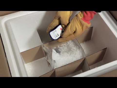 Global Dry Ice Thermal Container