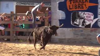 ENCIERRO Y SUELTA DE VACAS, con cogidas LEITZA 2016 NAVARRA PTV REPORTAJES