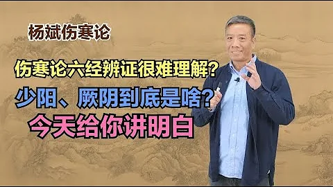 伤寒论六经辨证很难理解？少阳、厥阴到底是啥？今天给你讲明白 - 天天要闻