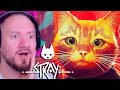 Я СТАЛ КОТОМ - STRAY 😺 КОШАЧИЙ КИБЕРПАНК 2022 ИГРА ПРО КОТИКА