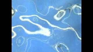 Little Nemo - LHeure DHiver
