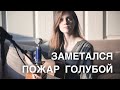 ЗАМЕТАЛСЯ ПОЖАР ГОЛУБОЙ ( Asammuell / Ксения Колесник )