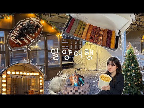 vlog. 🏕️밀양여행 / 소금상점, 열두달카페, 밀양시네마, 파머스마켓, 해브솔, 글램핑 / #밀양에반하다 