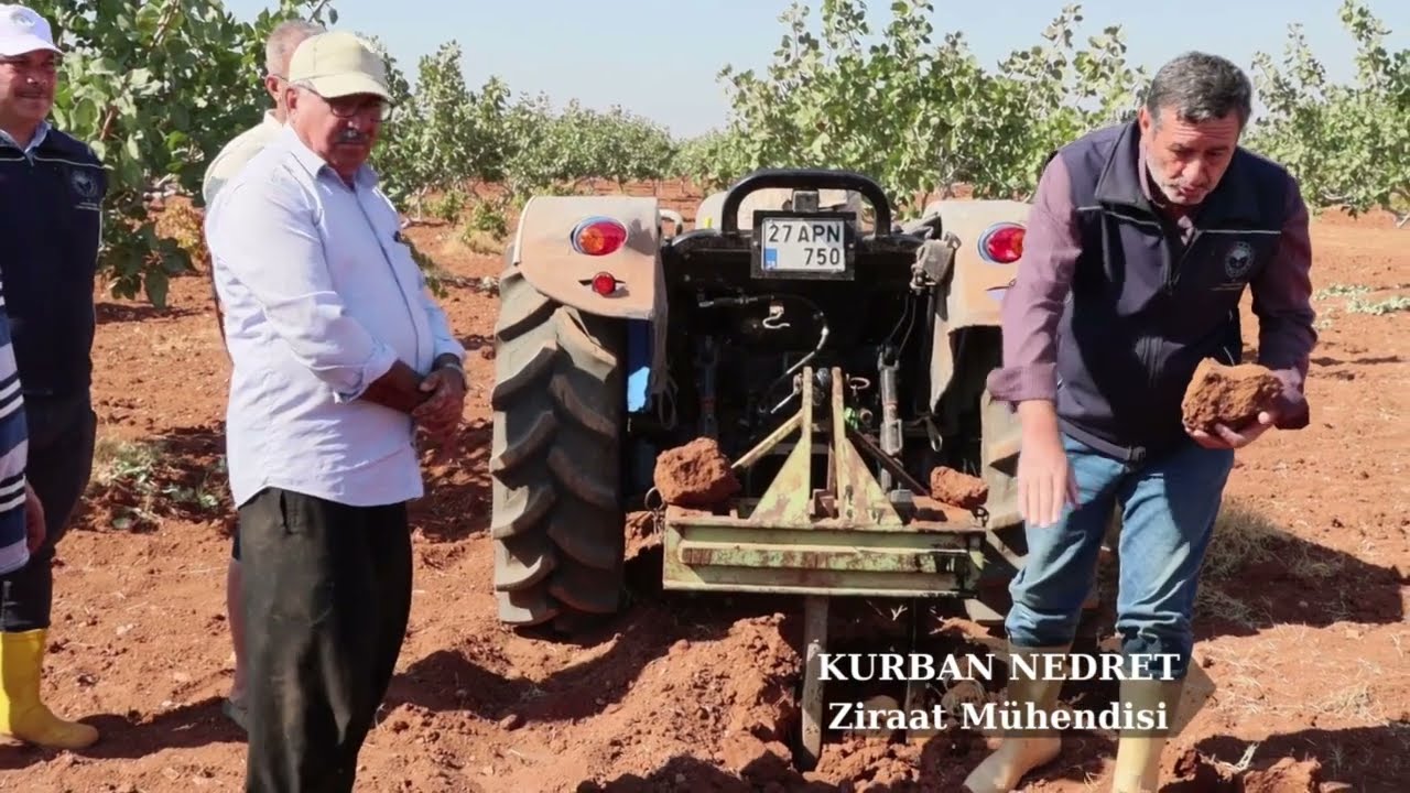 Antepfıstığı bahçelerinde, kış aylarında ve toprak ıslak iken sürüm yapmayınız.