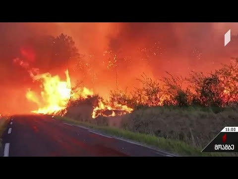 მაღალმა ტემპერატურამ ტყის ხანძრები გამოიწვია