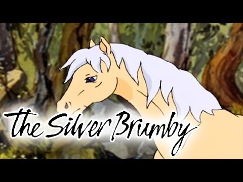 The Silver Brumby 105 - The Old Prospector Saves a Friend (HD - Full Episode)