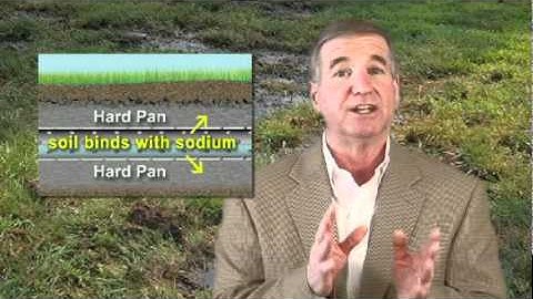 Fix Septic Drain Field Problems! Repair and Restore Septic System Problems with Septic Drainer